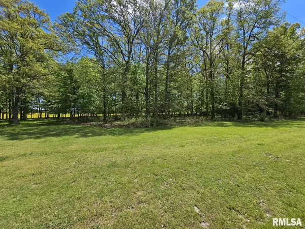 Lot 2 N WILDWOOD PL, Dix, IL 62830