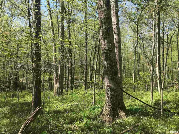 Dieterich, IL 62424,000 N 1900th ST