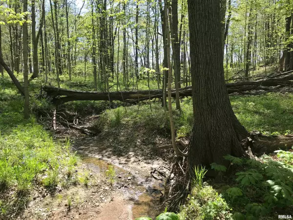 Dieterich, IL 62424,000 N 1900th ST