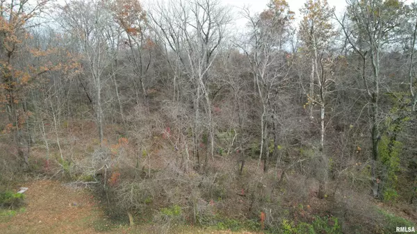 Carterville, IL 62918,208 Dewmaine RD