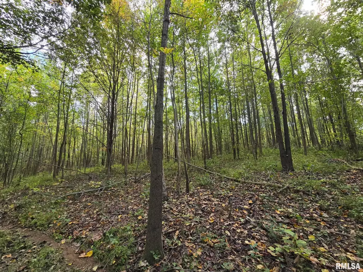 Metropolis, IL 62960,TBD State Highway 145 S HWY