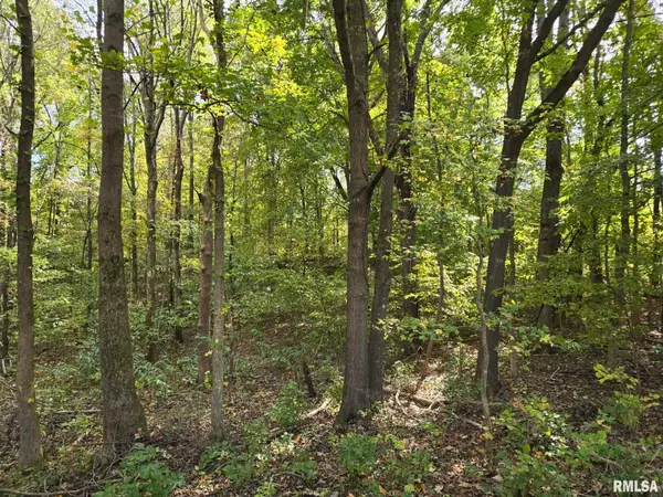 Metropolis, IL 62960,TBD State Highway 145 S HWY