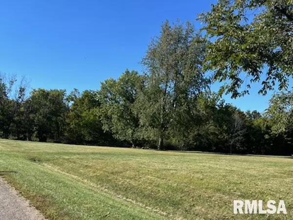 Lot #1 NORTH LAKEVIEW RD, Dahinda, IL 61428