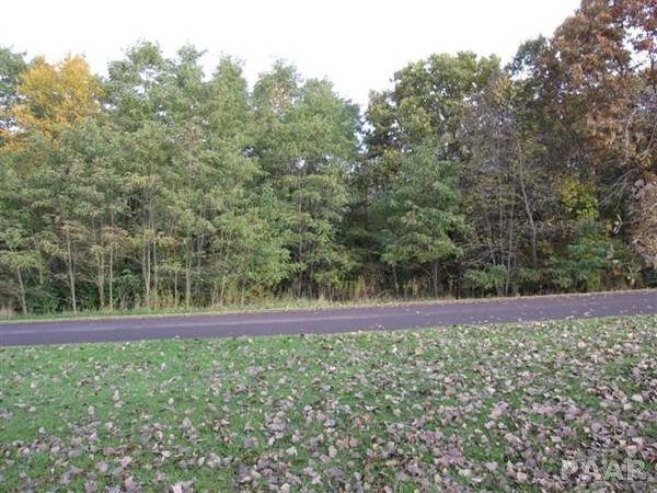 Lot 17 GRACE LN, Edwards, IL 61528