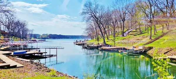 8020 OAK RUN DR, Dahinda, IL 61428