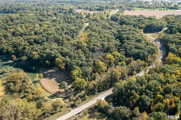 Dahinda, IL 61428,83 WALNUT CT