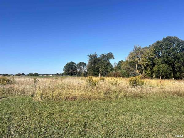 Lot 88 Kyle CT, Metamora, IL 61548