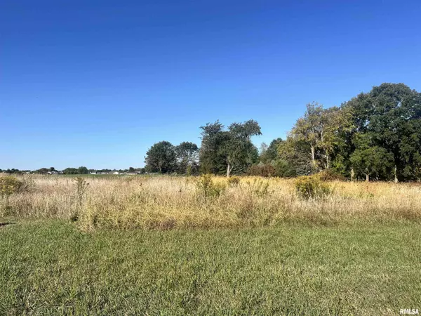 Lot 93 BRITTANY CT, Metamora, IL 61548