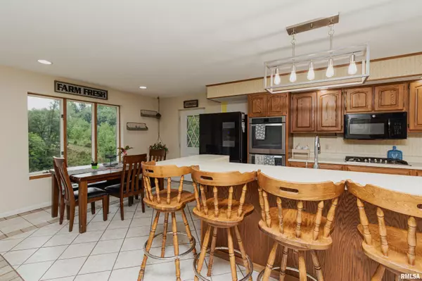 Hanna City, IL 61536,13813 W RIEKENA RD