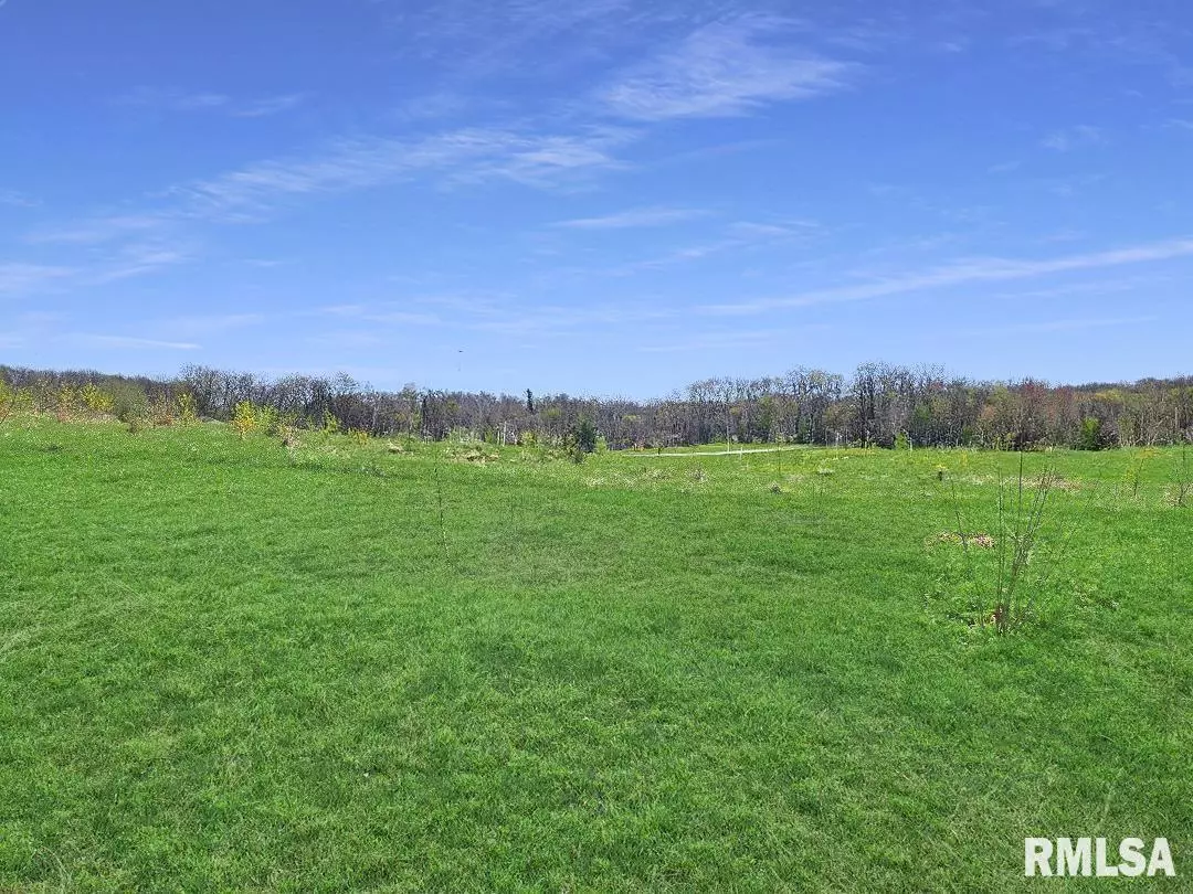 Princeville, IL 61559,0 - LOT 6 TOWN AVE