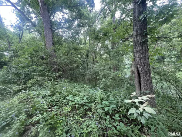 Mapleton, IL 61547,W BUCKINGHAM CT