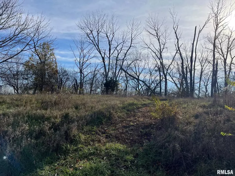 Lot 20 N DEER BLUFFS DR, Chillicothe, IL 61523