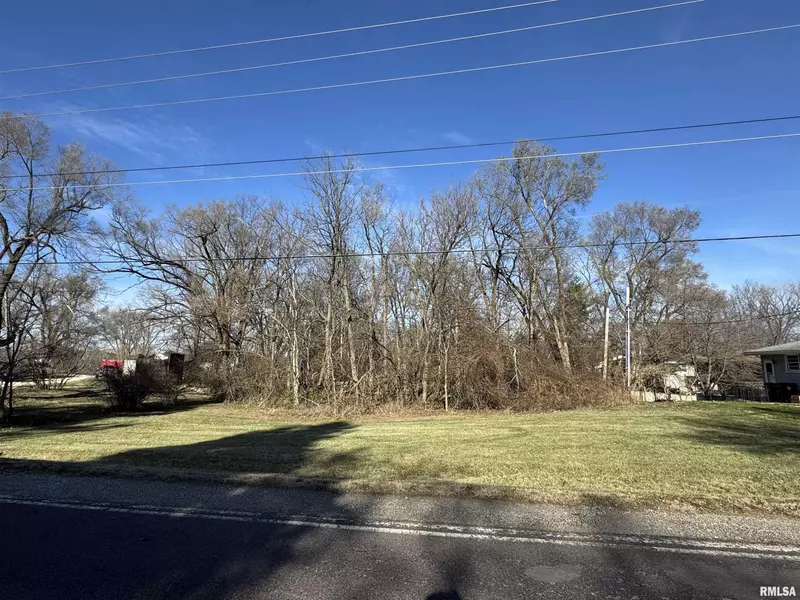 N BIG HOLLOW RD, Peoria, IL 61614