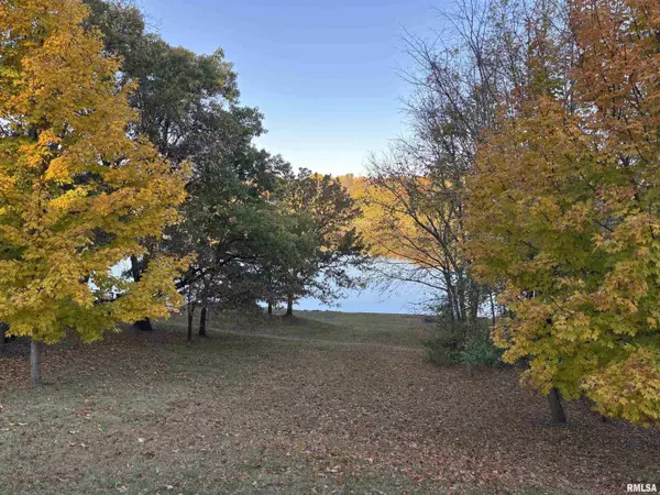 Dahinda, IL 61428,128 LAKECREST PL