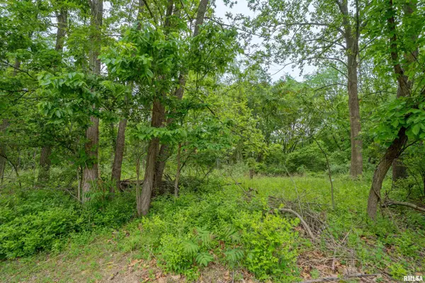 Creve Coeur, IL 61610,N STEWART ST