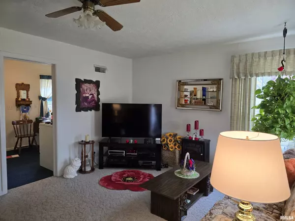 Canton, IL 61520,225 E HICKORY ST