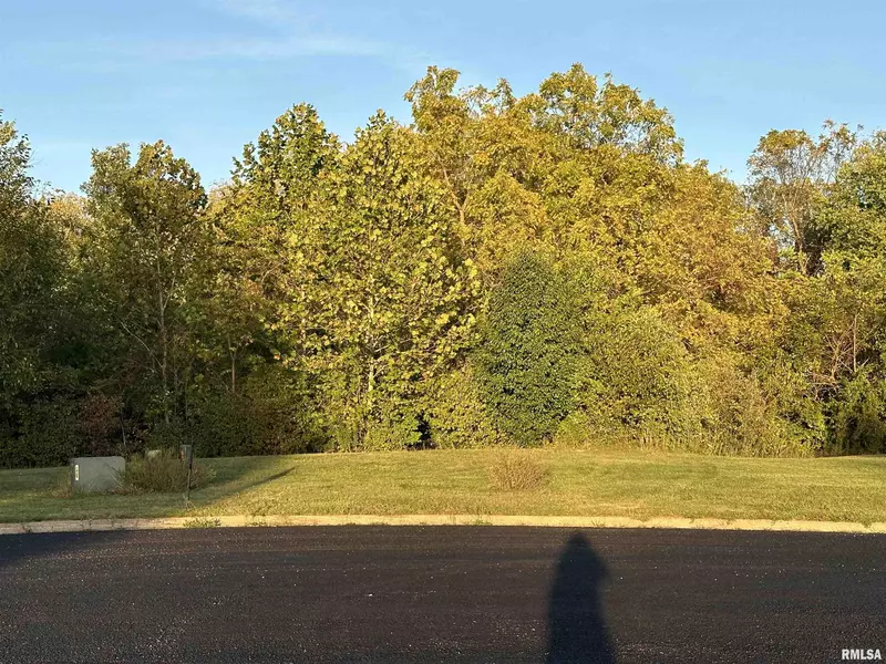 106 Scarlet CT, Washington, IL 61571