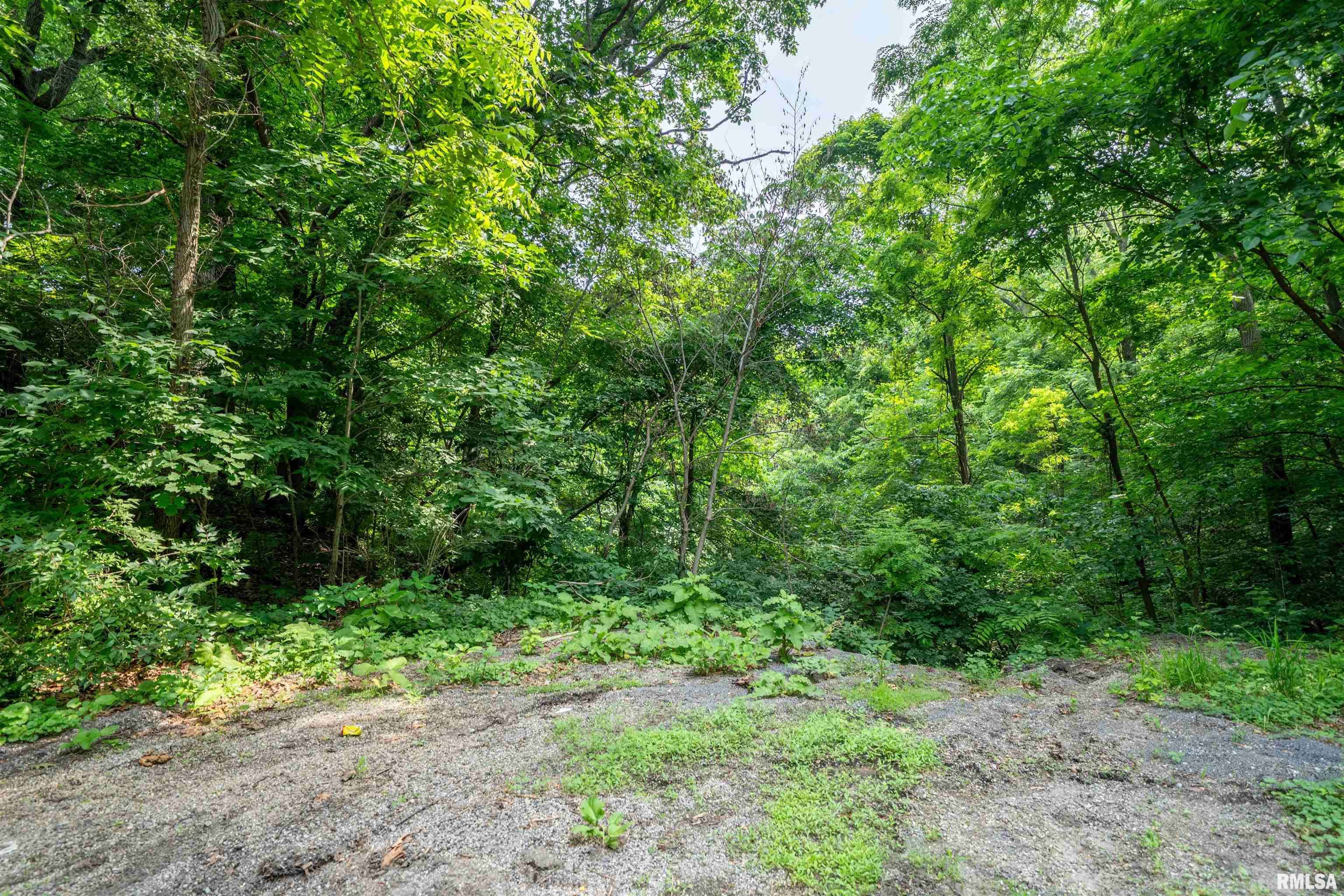 #8 W HARP HOLLOW RD, Peoria, IL 61607