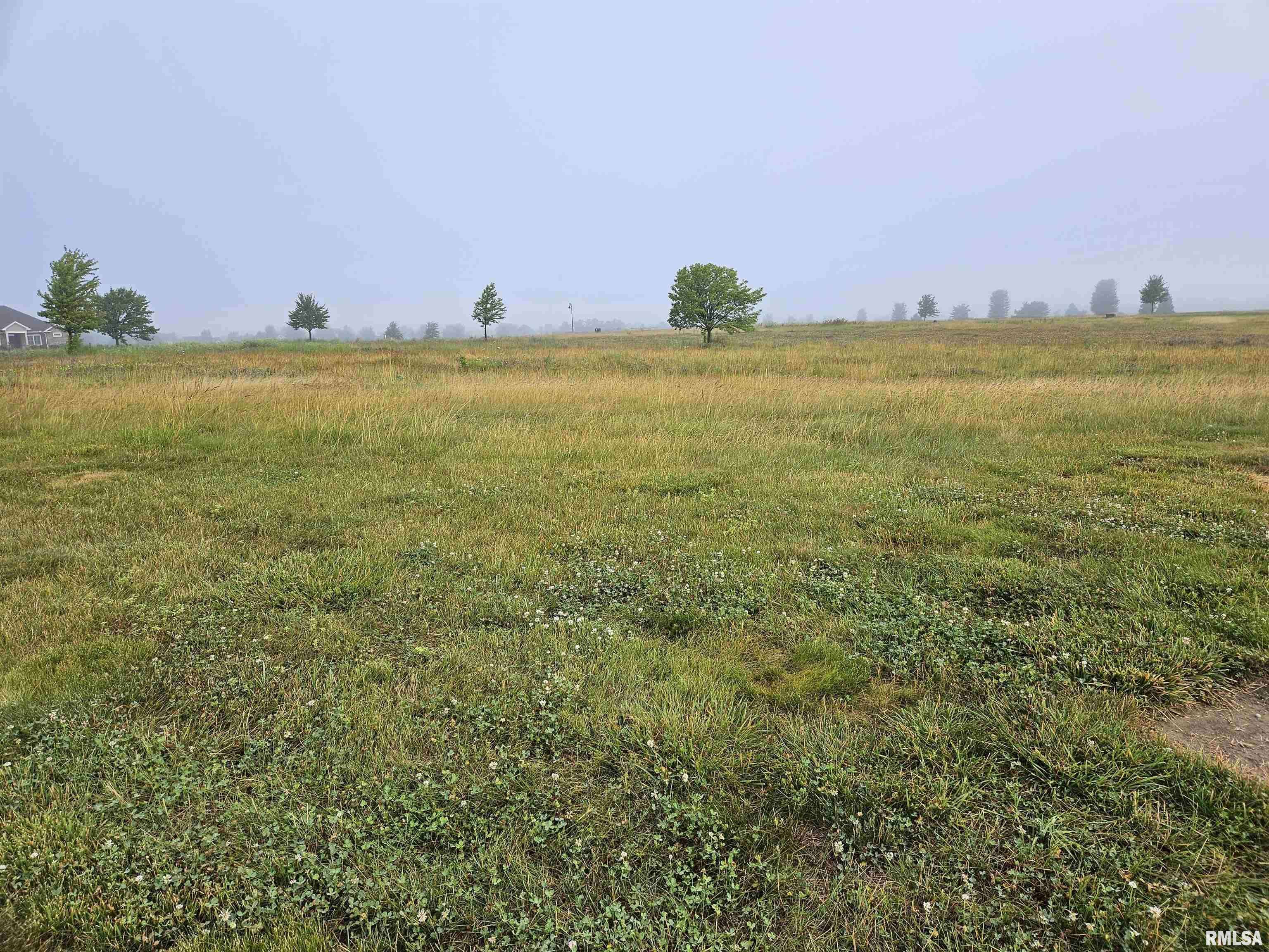 1010 Ring DR, Metamora, IL 61548