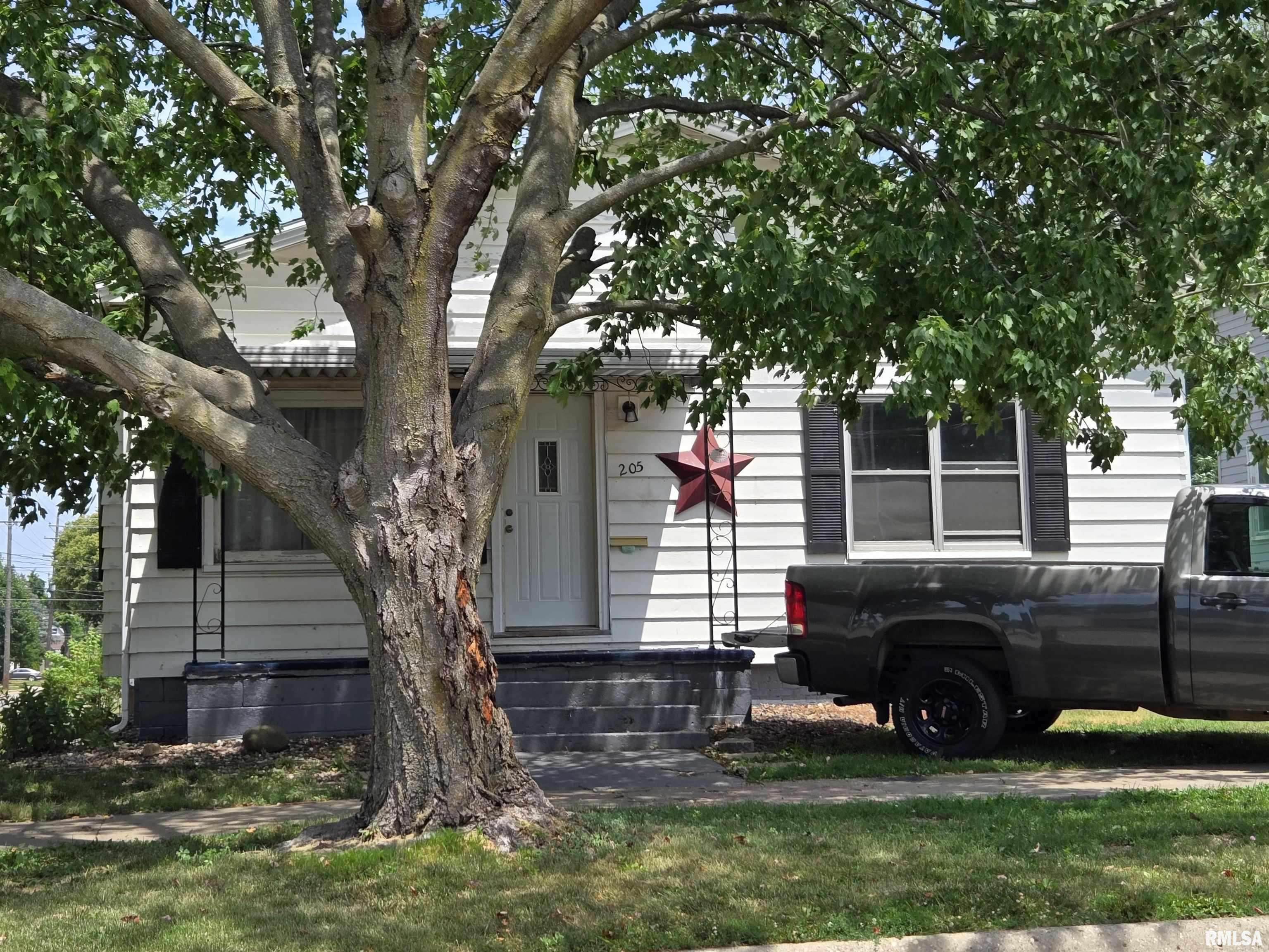 205 E SPRUCE ST, Canton, IL 61520