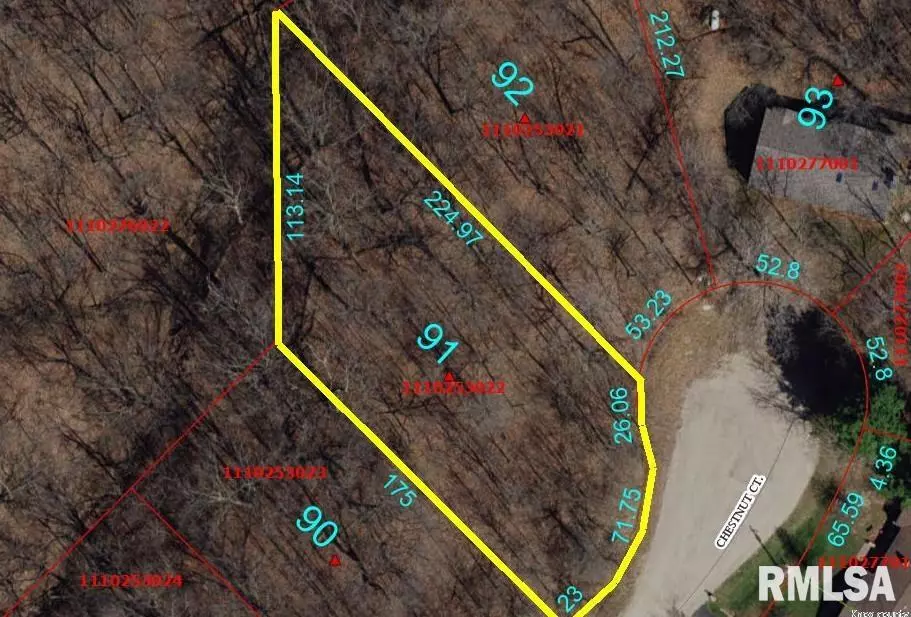Dahinda, IL 61428,91 CHESTNUT CT