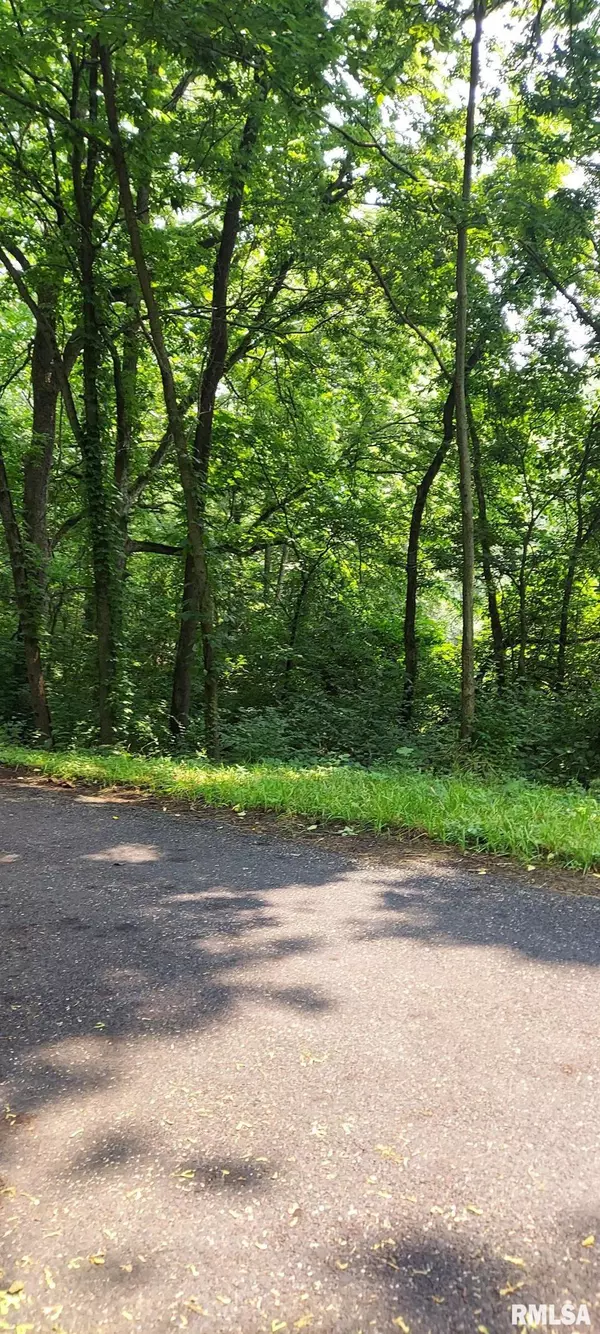Dunlap, IL 61525,0 W BRISTOL HOLLOW RD