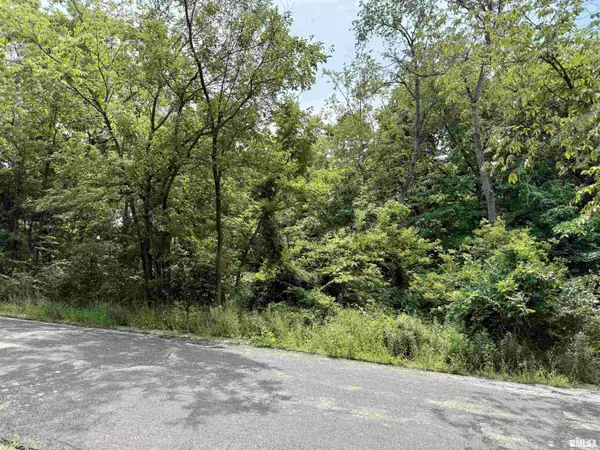 Creve Coeur, IL 61610,106 MAYWOOD AVE