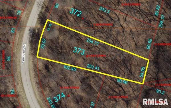 373 VALLEY VIEW CIR, Dahinda, IL 61428