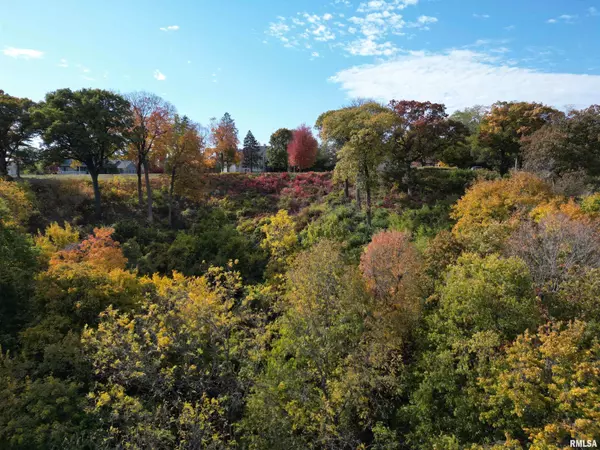 Peoria, IL 61614,4119 N GRANDVIEW DR