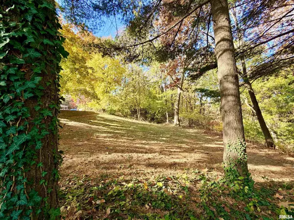 Peoria, IL 61606,1607 W PARKSIDE DR