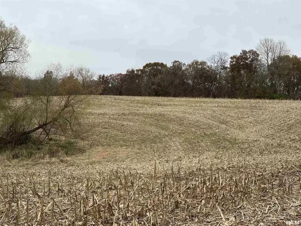 Buffalo Prairie, IL 61237,0 238TH ST