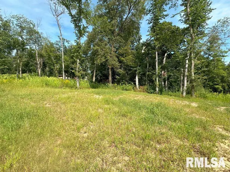 De Witt, IA 52742,Lot 2 225TH ST