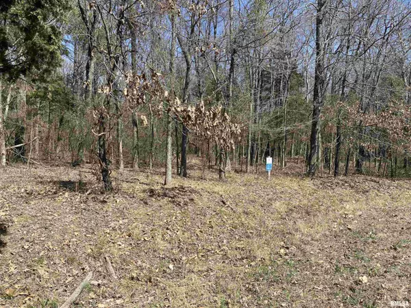 Goreville, IL 62939,Buckeye Hill CT