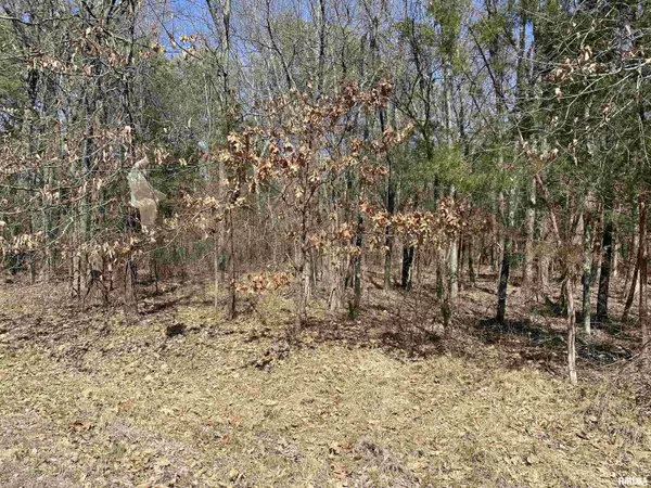 Goreville, IL 62939,Buckeye Hill CT