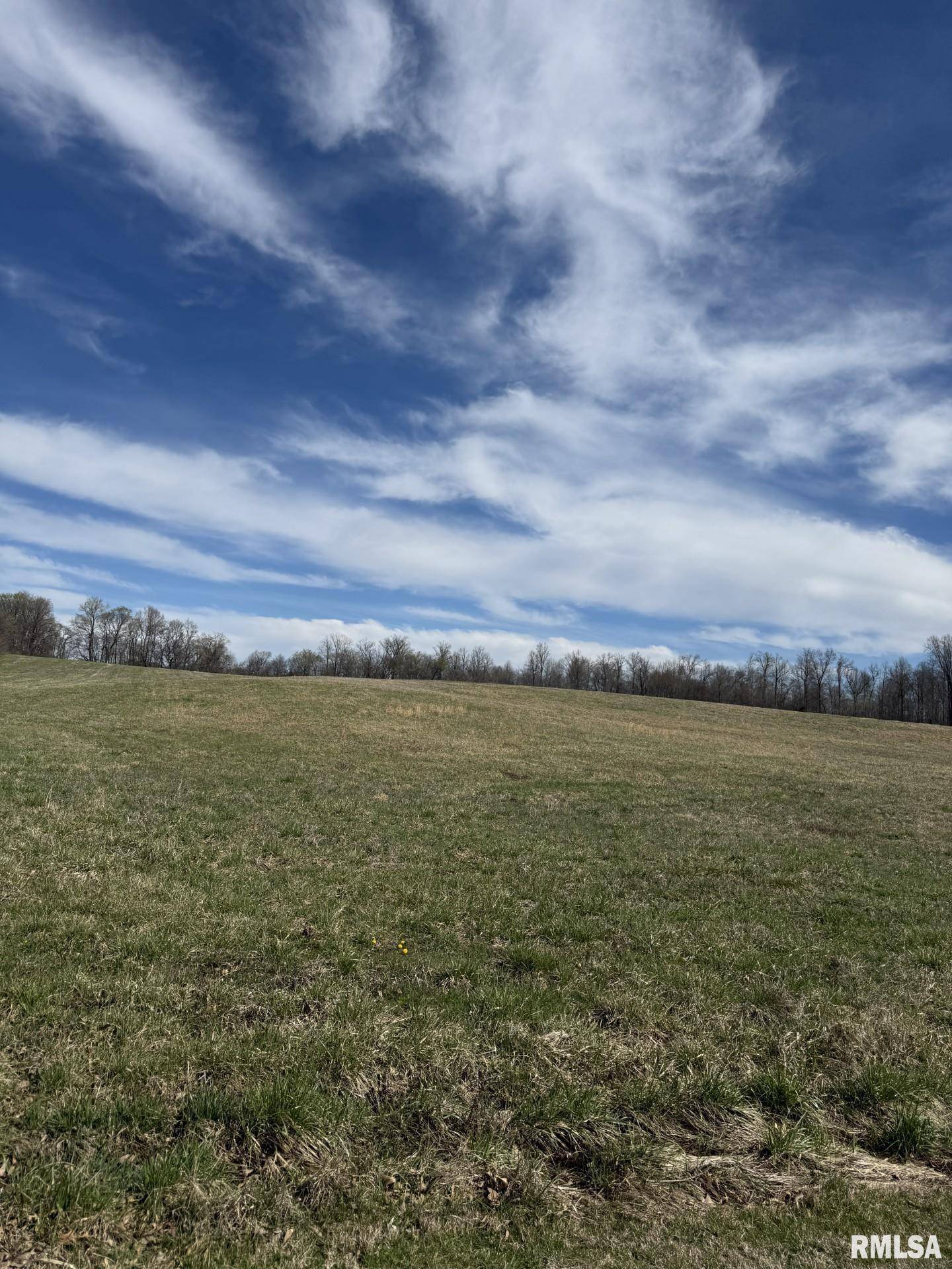 Cobden, IL 62920,4875 Wing Hill RD