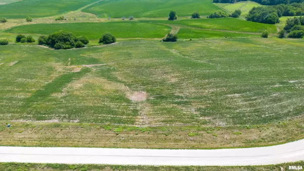 Galva, IL 61434,2439 Olof Krans AVE