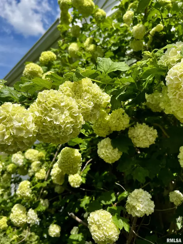 New Burnside, IL 62967,57 W 3RD ST