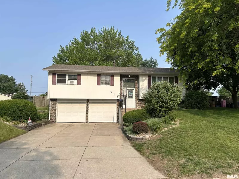 313 WILSHIRE DR, Colona, IL 61241