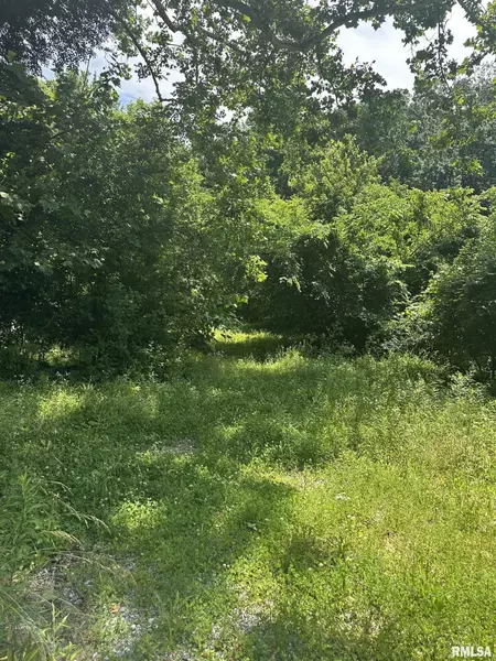 585 Berryville RD, Jonesboro, IL 62952