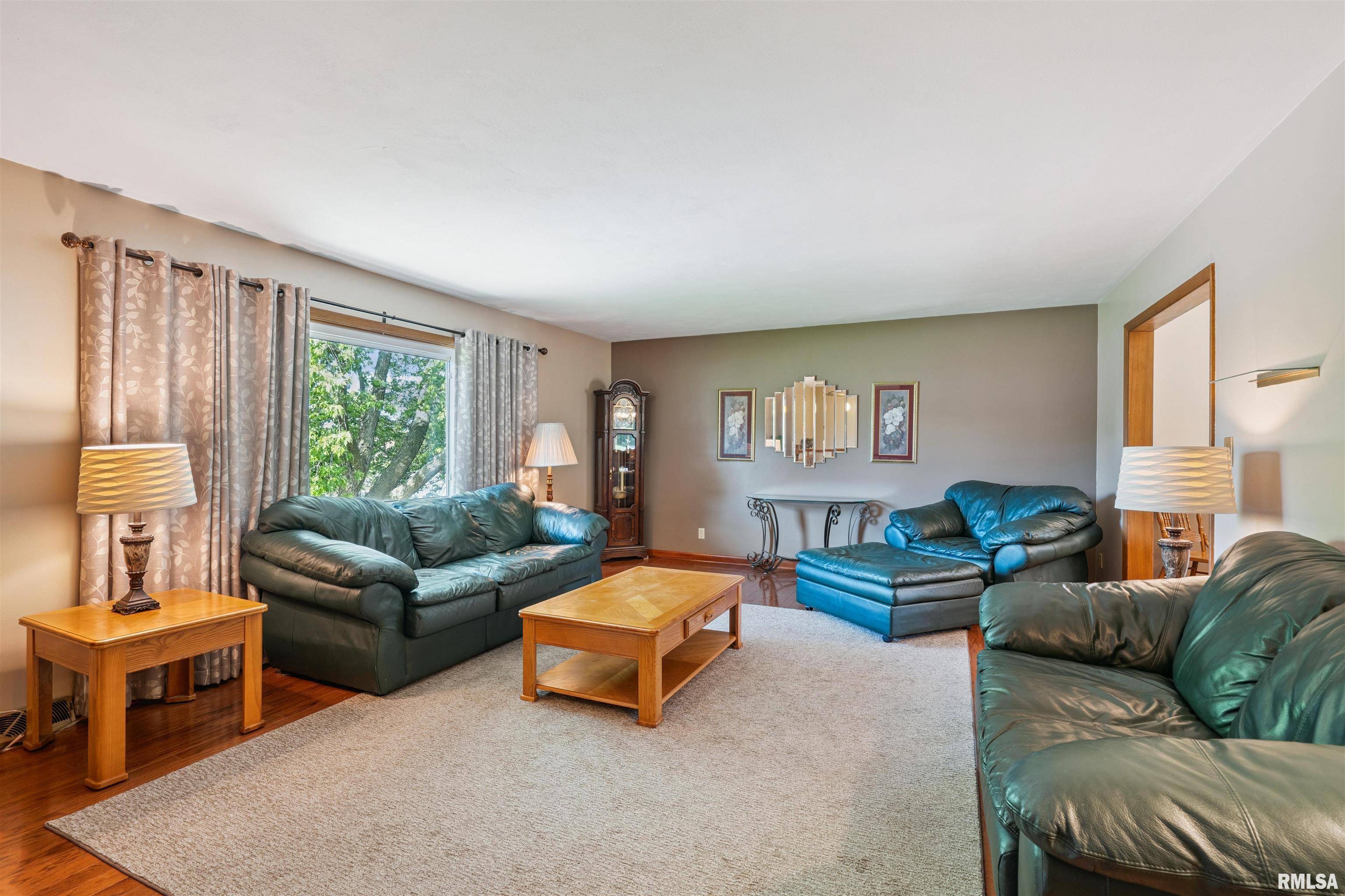 Orion, IL 61273,704 15TH AVE