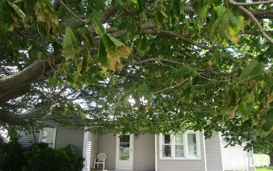 609 N 1ST ST, Alpha, IL 61413