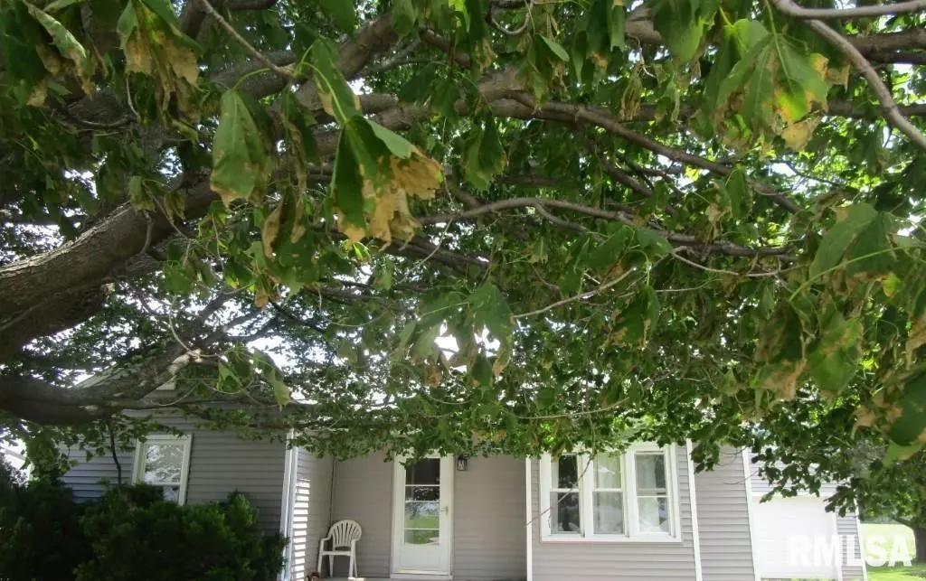 Alpha, IL 61413,609 N 1ST ST