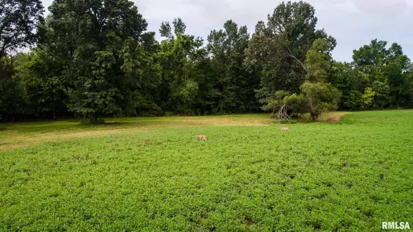 Carterville, IL 62918,TBD GREENBRIAR RD