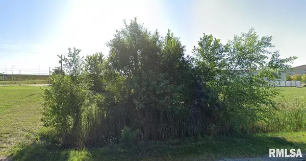 151 SUNSHINE LN, Milan, IL 61264