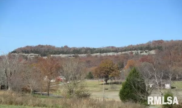 Buncombe, IL 62912,4295 Lick Creek RD