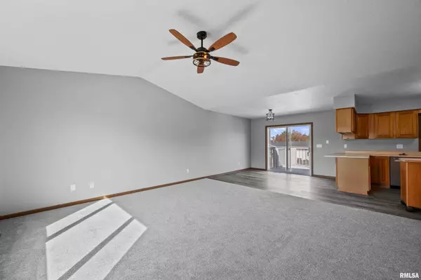 Colona, IL 61241,916 ASH DR