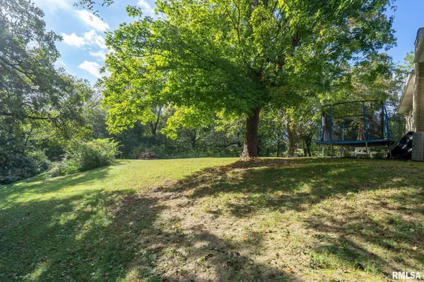 Milan, IL 61264,14028 KNOXVILLE RD