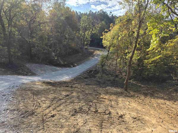 255 Yellow Springs RD, Elizabethtown, IL 62931