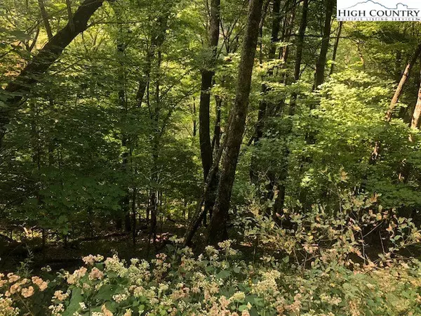 Zionville, NC 28698,lot 39 Rainbow Ridge RD