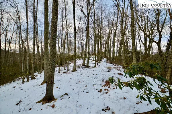 Blowing Rock, NC 28605,138R Firethorn Trail